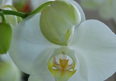 考试成功的祝福语(精选60句)