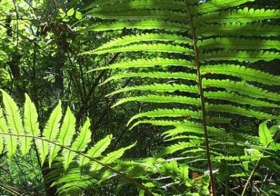 送给媳妇的生日祝福语(合集40句) 送给媳妇的生日祝福语(合集40句)