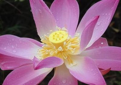 送给舞蹈老师的祝福语(共40句) 送给舞蹈老师的祝福语(共40句)