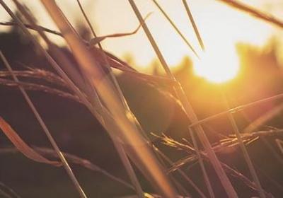 送给远方朋友的祝福语(实用70句) 送给远方朋友的祝福语(实用70句)