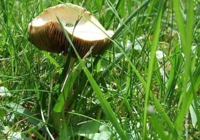 送给长辈的生日祝福语(热门50句) 送给长辈的生日祝福语(热门50句)