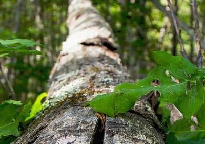 送给男生的祝福语(推荐60句) 送给男生的祝福语(推荐60句)