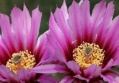 送给老师的结婚祝福语(推荐50句) 送给老师的结婚祝福语(推荐50句)