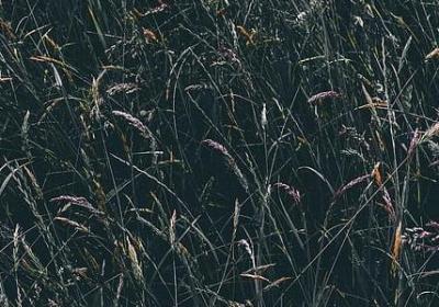 送给住院病人的祝福语(优选60句) 送给住院病人的祝福语(优选60句)