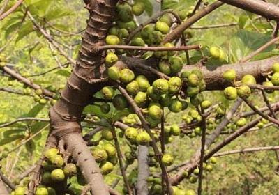 送女闺蜜生日祝福语(优选50句) 送女闺蜜生日祝福语(优选50句)