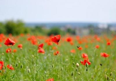 送给老同学生日祝福语(共40句) 送给老同学生日祝福语(共40句)