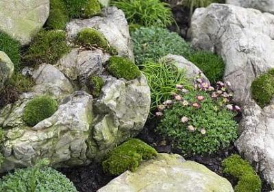 送给姐姐的结婚祝福语(合集56句) 送给姐姐的结婚祝福语(合集56句)