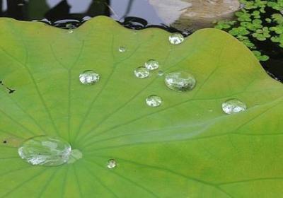 送给老婆的祝福语(热门70句) 送给老婆的祝福语(热门70句)