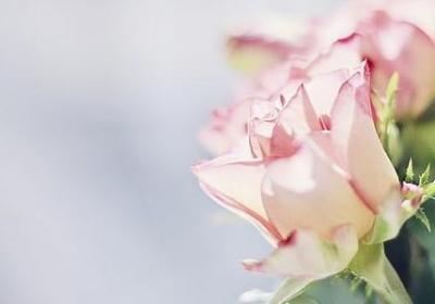 进新房子的祝福语简短(汇总70句) 进新房子的祝福语简短(汇总70句)