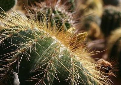 送女儿的生日祝福语(实用50句) 送女儿的生日祝福语(实用50句)