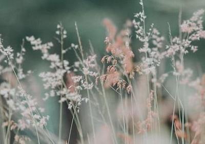 送给女生生日祝福语(汇总56句) 送给女生生日祝福语(汇总56句)