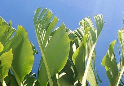 送给母亲的生日祝福语(汇总40句) 送给母亲的生日祝福语(汇总40句)