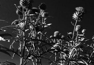 送手链的祝福语(推荐50句) 送手链的祝福语(推荐50句)