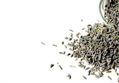 送别领导祝福语(通用40句) 送别领导祝福语(通用40句)