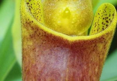 送给爸爸的祝福语(热门60句) 送给爸爸的祝福语(热门60句)