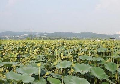 送给高考生的祝福语(精选70句) 送给高考生的祝福语(精选70句)