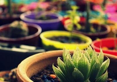 送给做生意的祝福语(汇总47句) 送给做生意的祝福语(汇总47句)