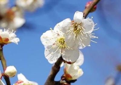 送给新生宝宝的祝福语(推荐57句) 送给新生宝宝的祝福语(推荐57句)