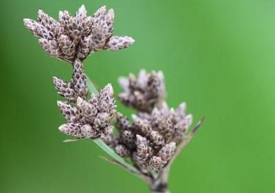 送朋友的生日祝福语(热门50句) 送朋友的生日祝福语(热门50句)