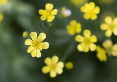 送老师的祝福语(优选50句) 送老师的祝福语(优选50句)
