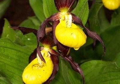 进新家祝福语(通用58句) 进新家祝福语(通用58句)