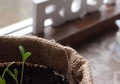 送给医生的祝福语(精选50句) 送给医生的祝福语(精选50句)