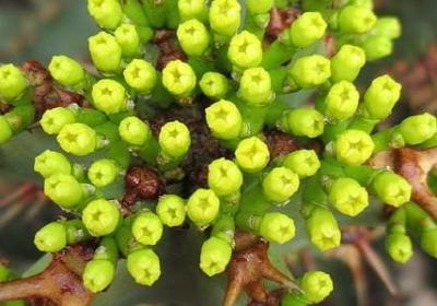 送朋友坐飞机祝福语(精选50句) 送朋友坐飞机祝福语(精选50句)