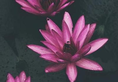 送人出远门的祝福语(必备50句)