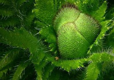 送客人走说的祝福语(必备50句)