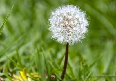 迟到一天的生日祝福语(必备40句)