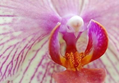 送给高考考生的祝福语(汇总70句)