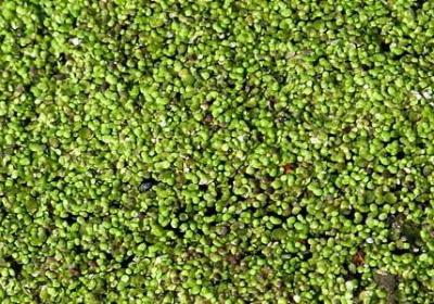 送朋友的暖心祝福语(汇总60句)