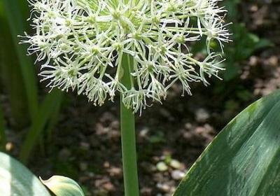 送教官的祝福语(热门60句)