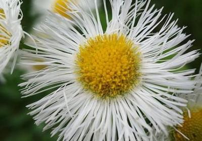 送宝贝的生日祝福语(必备50句)