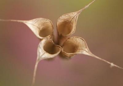 送给爸爸生日祝福语(通用40句)