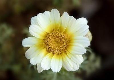 退伍祝福语简短(70句)