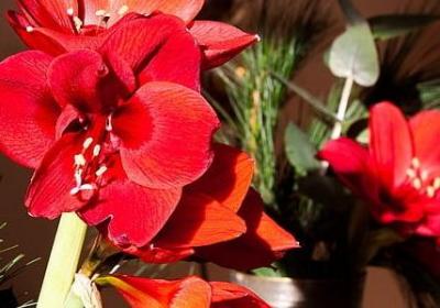 送给男生的生日祝福语(热门70句)