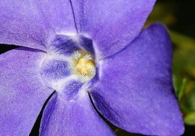 送给父母的祝福语(热门79句)