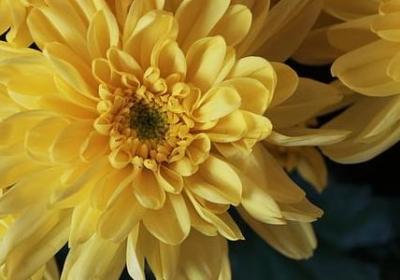 送给退休领导的祝福语(优选6句)