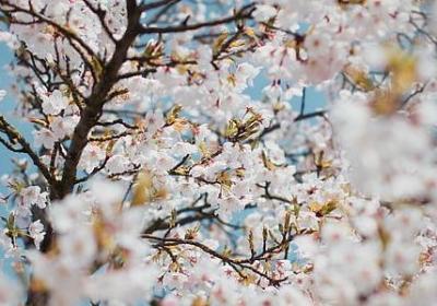 送结婚祝福语(热门50句)