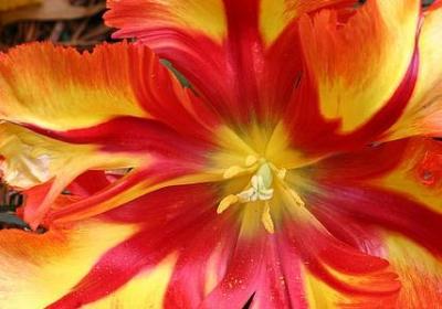 送女儿上大学祝福语(热门60句)