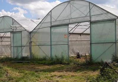 送给一年级小朋友的祝福语(实用40句)