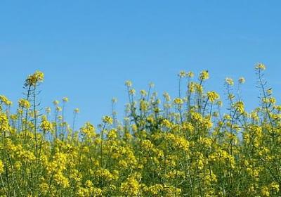 送兵祝福语(优选87句)