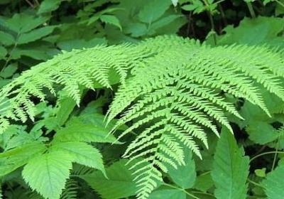 送女朋友的生日祝福语(合集15句)