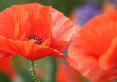 送宝宝的祝福语(优选40句)