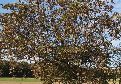 送给博士的四字祝福语(精选70句)