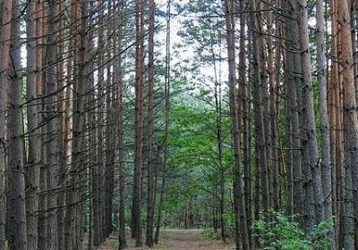 送给爸爸妈妈的祝福语(精选40句)