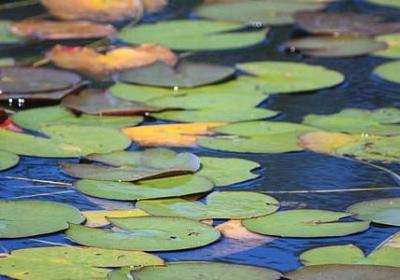 品牌的力量句子(54句)