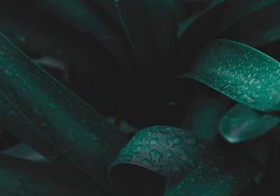 送女朋友的祝福语(60句)