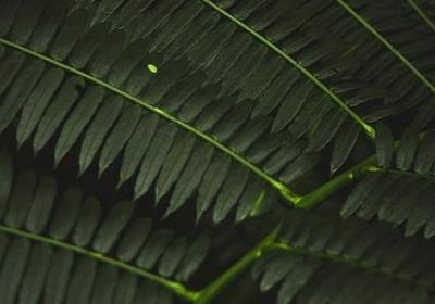 送新兵祝福语(精选69句)